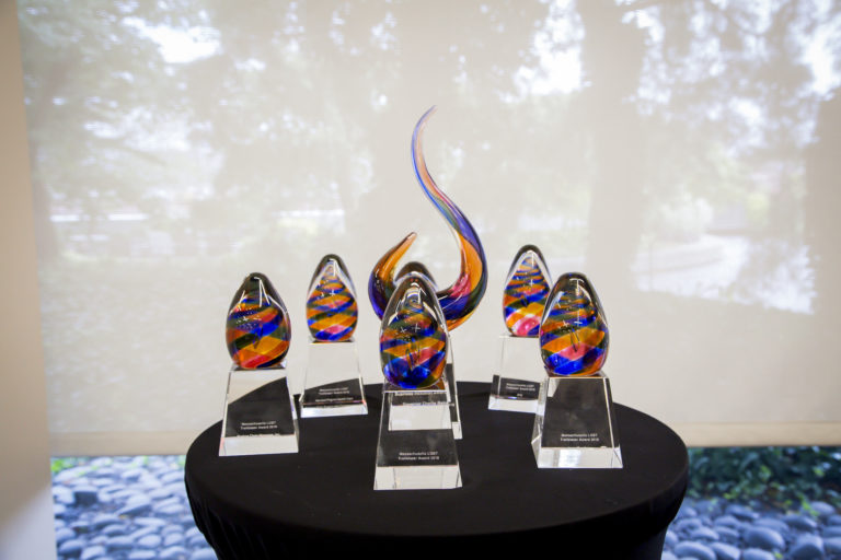 Trailblazers awards